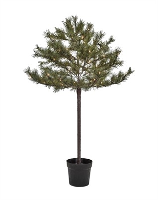 Juletræ med LED - Peuce - Natur